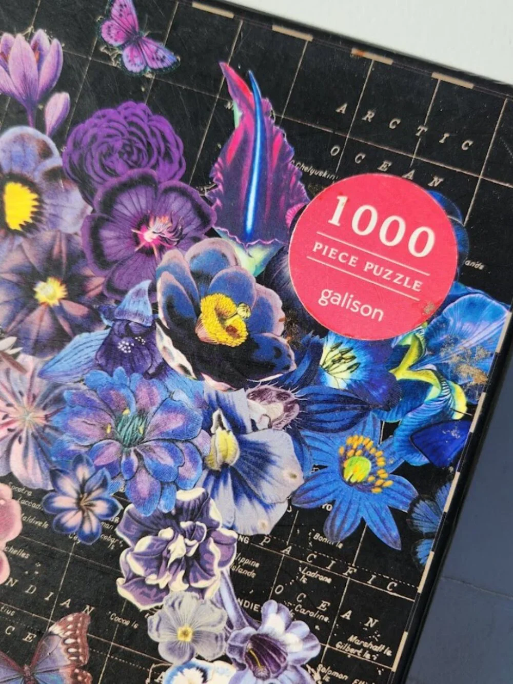 Ravensburger galison full